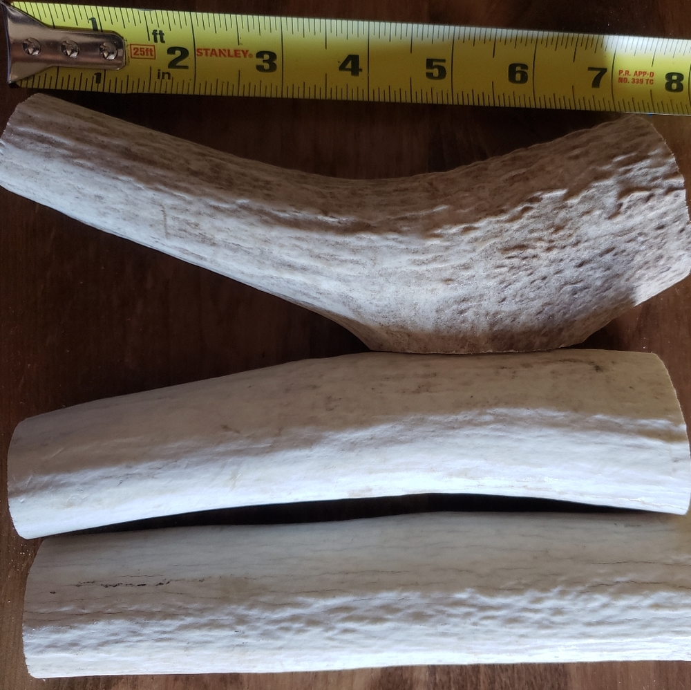 Large (6-8") Elk Antler Dog Chews B Grade